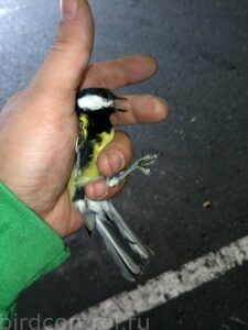 IMG_20180923_120902_новый размер