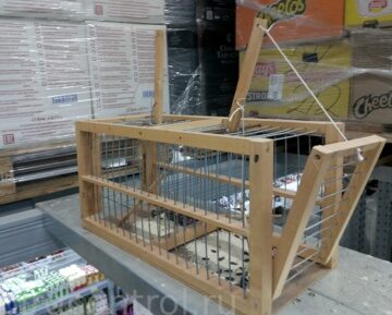 IMG_20190216_025343_новый размер