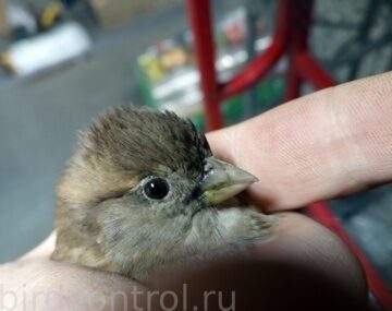 IMG_20190118_045705_новый размер