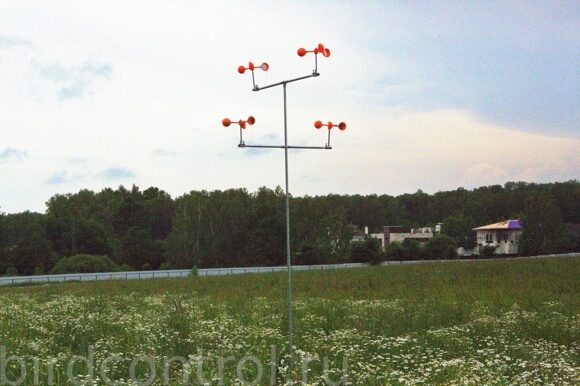 4H2B3446.CR2_новый размер_новый размер