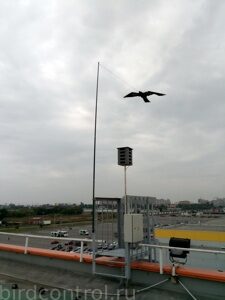 IMG_20180910_135223_новый размер