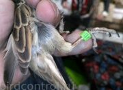 IMG_20190131_062336_новый размер