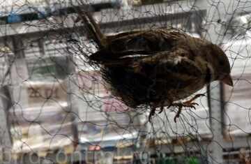 IMG_20190131_062108_новый размер