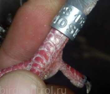 IMG_20190625_201008_новый размер