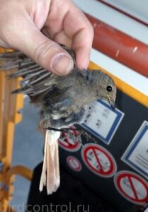 IMG_20180713_052031_новый размер