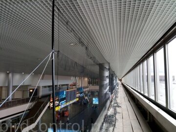 IMG_20180710_154323_новый размер