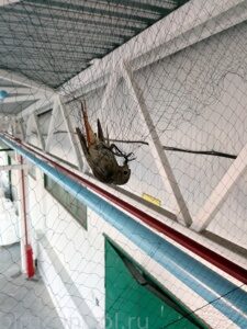 IMG_20180713_052330_новый размер