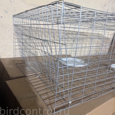 Ловушка - контейнер для голубей.