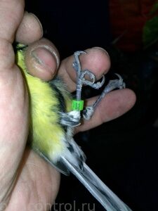 IMG_20181202_020508_новый размер