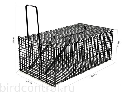 Живоловка для крыс