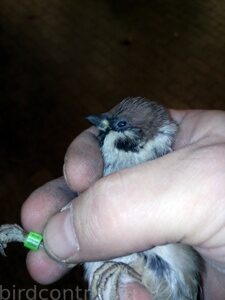 IMG_20190129_065213_новый размер