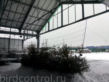 IMG_20190129_091906_новый размер