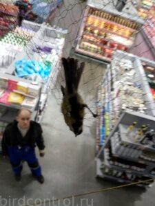 IMG_20181225_064306_новый размер