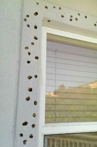 Скриншот 20-11-2022 16.20.05