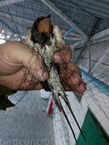 IMG_20180713_052350_новый размер