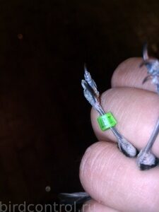 IMG_20190129_074739_новый размер