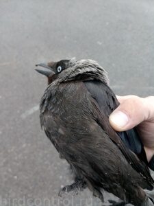 IMG_20190629_154909_новый размер